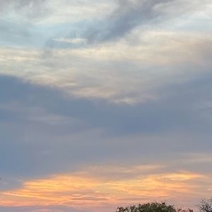 Meet your Posher, Eden